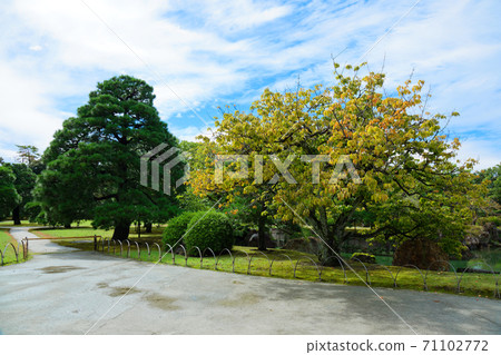 二條城花園 71102772