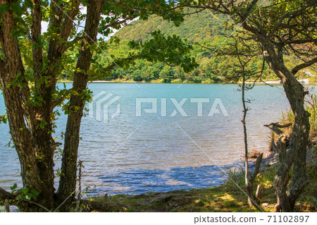 Prefectural Akagi Park, Lake Onuma, early autumn scenery Prefectural Akagi Park, Lake Onuma, early autumn scenery 71102897
