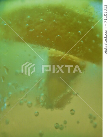 碳酸檸檬水 碳酸檸檬水 71103312