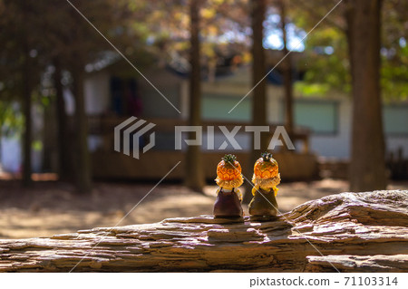 彰化,木偶,背影,娃娃,秋天,陽光,光影,無品牌的 71103314