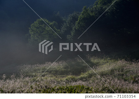 The brilliance of the plateau 71103354