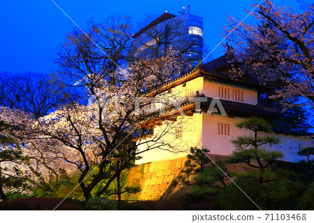 Takasaki City Castle Ruins Park 71103468