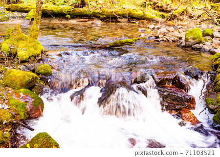 阿祖薩河的支流流經秋天的高地 71103521