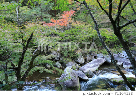 《山梨縣》升泉峽秋葉的通知 《山梨縣》升泉峽秋葉的通知 71104158