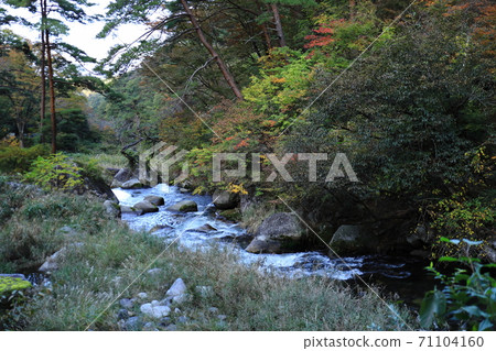 《山梨縣》 Shosenkyo河上的紅葉 《山梨縣》 Shosenkyo河上的紅葉 71104160