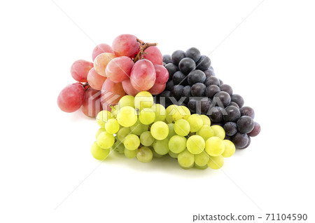 Grapes Grapes 71104590