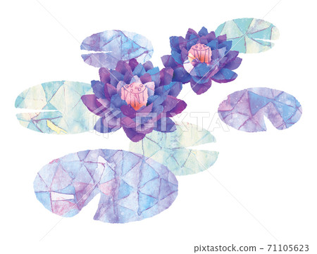 Watercolor_lotus 71105623