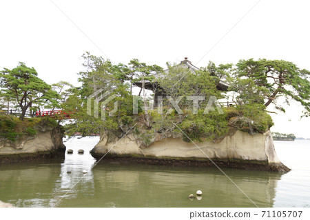 Five major halls Matsushima 71105707