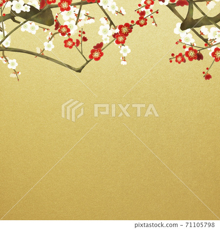 紅白梅花和金箔的日式背景-有多種變化 71105798
