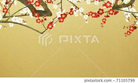 紅白梅花和金箔的日式背景-有多種變化 71105799