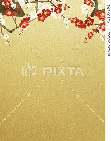 紅白梅花和金箔的日式背景-有多種變化 71105801