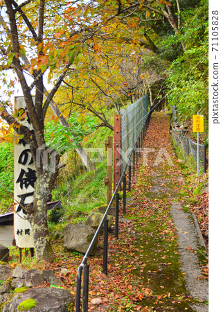Midori Bale Stone [San'in Kaigan Geopark] 71105828