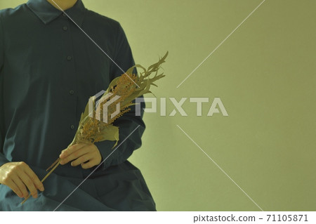 含羞草/ Fusa金合歡別緻的禮服的少婦在背景中（軟的焦點黑暗口氣） 71105871