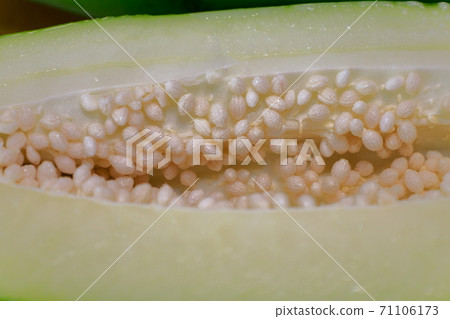 papaya papaya 71106173