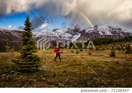 Female Backpacker Hiking in Canadian Rockies 71106847