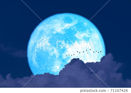 Super harvest blue moon and silhouette birds flying and dark cloud on night sky Super harvest blue moon and silhouette birds flying and dark cloud on night sky 71107426