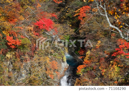 那須高原秋葉 那須高原秋葉 71108290