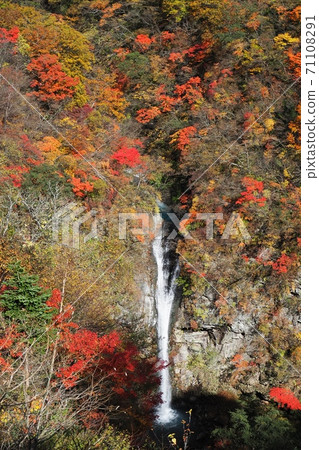 那須高原秋葉 那須高原秋葉 71108291