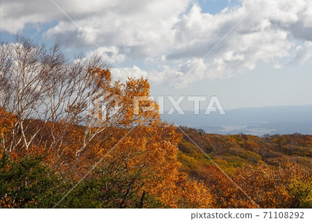 Nasu plateau autumn leaves Nasu plateau autumn leaves 71108292