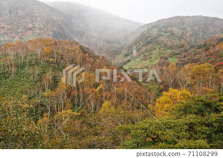Nasu plateau autumn leaves Nasu plateau autumn leaves 71108299