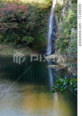 那須高原秋葉 71108300