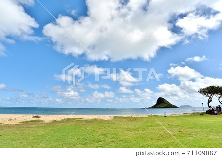 Holidays in Hawaii 71109087