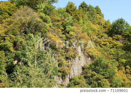 Yellow leaves at the foot of the mountain, Tadami Town, Fukushima Prefecture Yellow leaves at the foot of the mountain, Tadami Town, Fukushima Prefecture 71109601