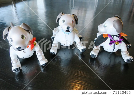 排列了三個圍場 71110495