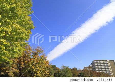 漂浮在藍天的空中云彩 漂浮在藍天的空中云彩 71110511