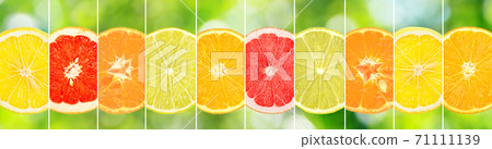 Halves bright citrus fruits separated by vertical lines 71111139