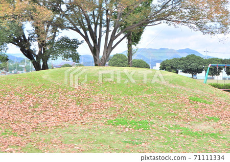 Park dead leaves Park dead leaves 71111334