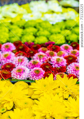 Vivid Hanatemizu (Kikutemizu) Nihonmatsu City, Fukushima Prefecture 71112225