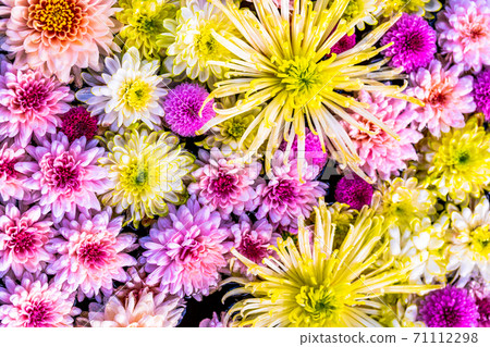 福島縣日本松市市花水清（Kikutemizu） 71112298