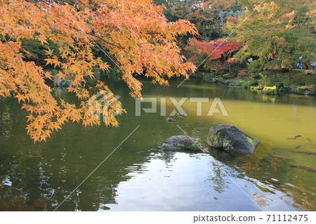 一對秋葉池塘和水禽☆+秋葉和水禽+☆2 2，,,, 71112475