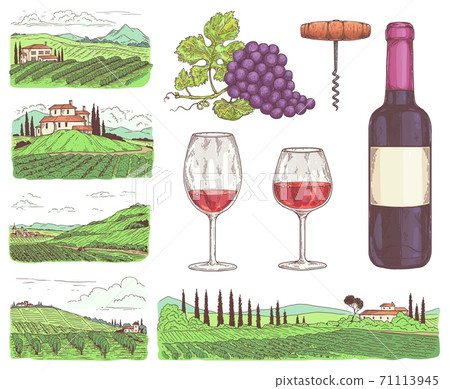 A set of colorful vector illustrations on theme red wine and winemaking. A set of colorful vector illustrations on theme red wine and winemaking. 71113945