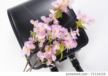 Image photo of the entrance ceremony (black school bag and cherry blossoms) Image photo of the entrance ceremony (black school bag and cherry blossoms) 71114119