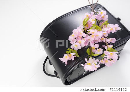 Image photo of the entrance ceremony (black school bag and cherry blossoms) 71114122