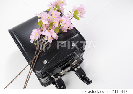 Image photo of the entrance ceremony (black school bag and cherry blossoms) Image photo of the entrance ceremony (black school bag and cherry blossoms) 71114123
