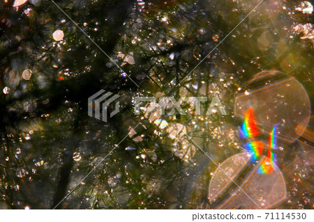 Rainbow art 71114530