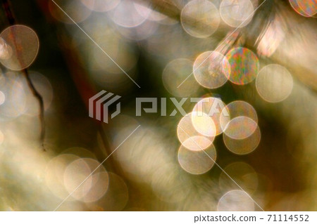 彩虹藝術 71114552