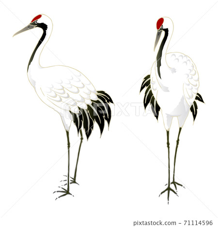 Crane standing alone 71114596