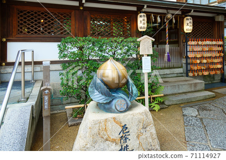 Harumi Shrine悲慘的桃子 Harumi Shrine悲慘的桃子 71114927