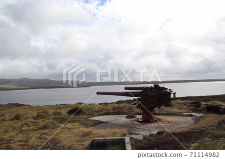 West Point Island landscape West Point Island landscape 71114982