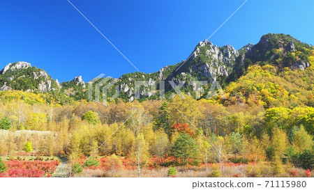 Yamanashi Prefecture Mt. Mizugaki Autumn Leaves October 71115980