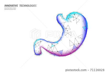 Human healthy stomach recovery system medicine concept. 3D low poly digestion reconstruction technology pharmacy drugstore banner. Health care vector illustration 71116028