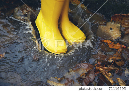 Feet of child in yellow rubber boots jumping in puddle at the autumn day. Feet of child in yellow rubber boots jumping in puddle at the autumn day. 71116295
