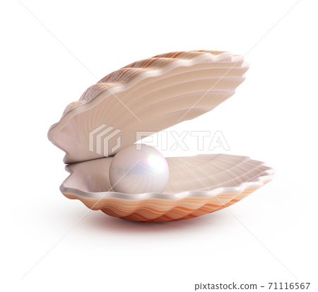 Pearl inside seashell 3d rendering 71116567