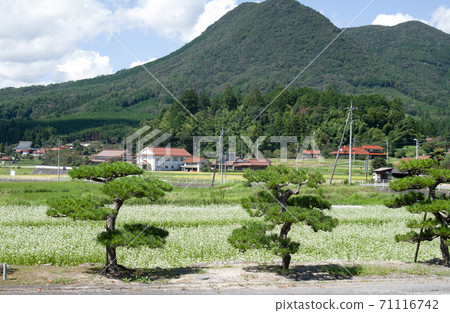 View of Mt. Ryutozan and Soba Village 71116742