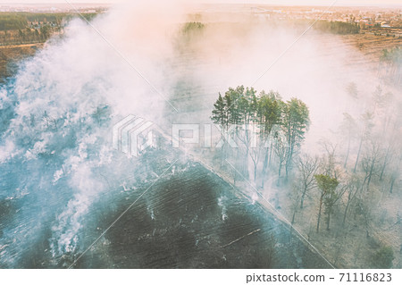 Aerial View. Spring Dry Grass Burns During Drought Hot Weather. Bush Fire And Smoke In Forest. Wild Open Fire Destroys Grass. Nature In Danger. Ecological Problem Air Pollution. Natural Disaster. Aerial View. Spring Dry Grass Burns During Drought Hot Weather. Bush Fire And Smoke In Forest. Wild Open Fire Destroys Grass. Nature In Danger. Ecological Problem Air Pollution. Natural Disaster. 71116823
