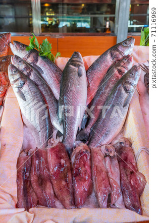 Closeup photo of fresh fish and squid in seafood market Closeup photo of fresh fish and squid in seafood market 71116969